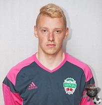 viksnat